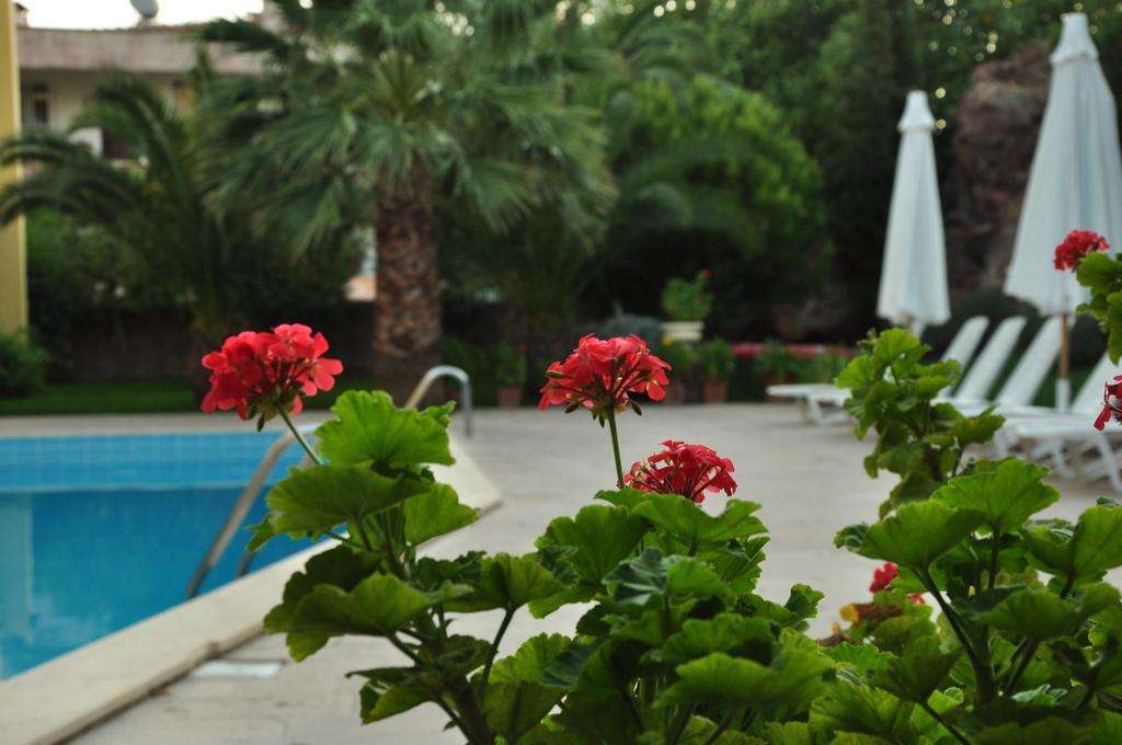 Palm Court Suites Ayvalı Exterior foto