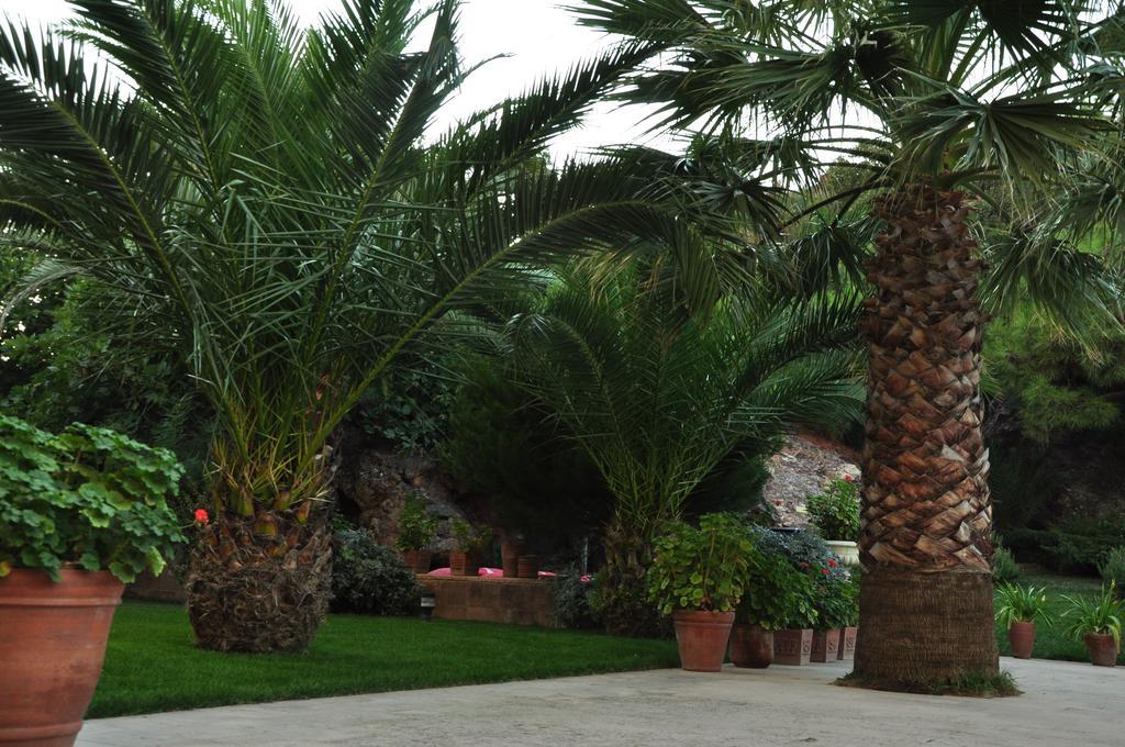 Palm Court Suites Ayvalı Exterior foto